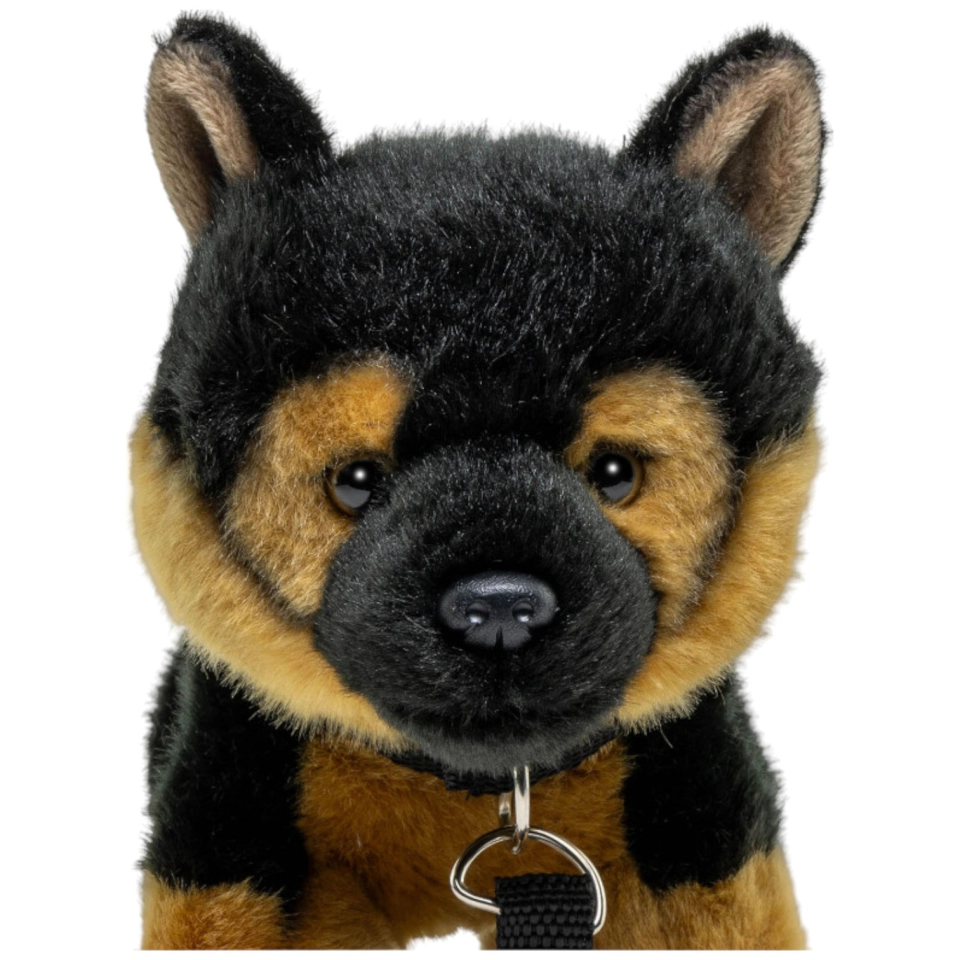 Schäferhund Welpe mit Leine