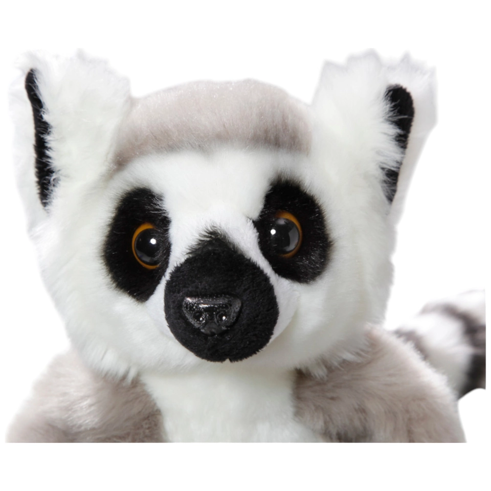 Katta, Lemur mit Klett