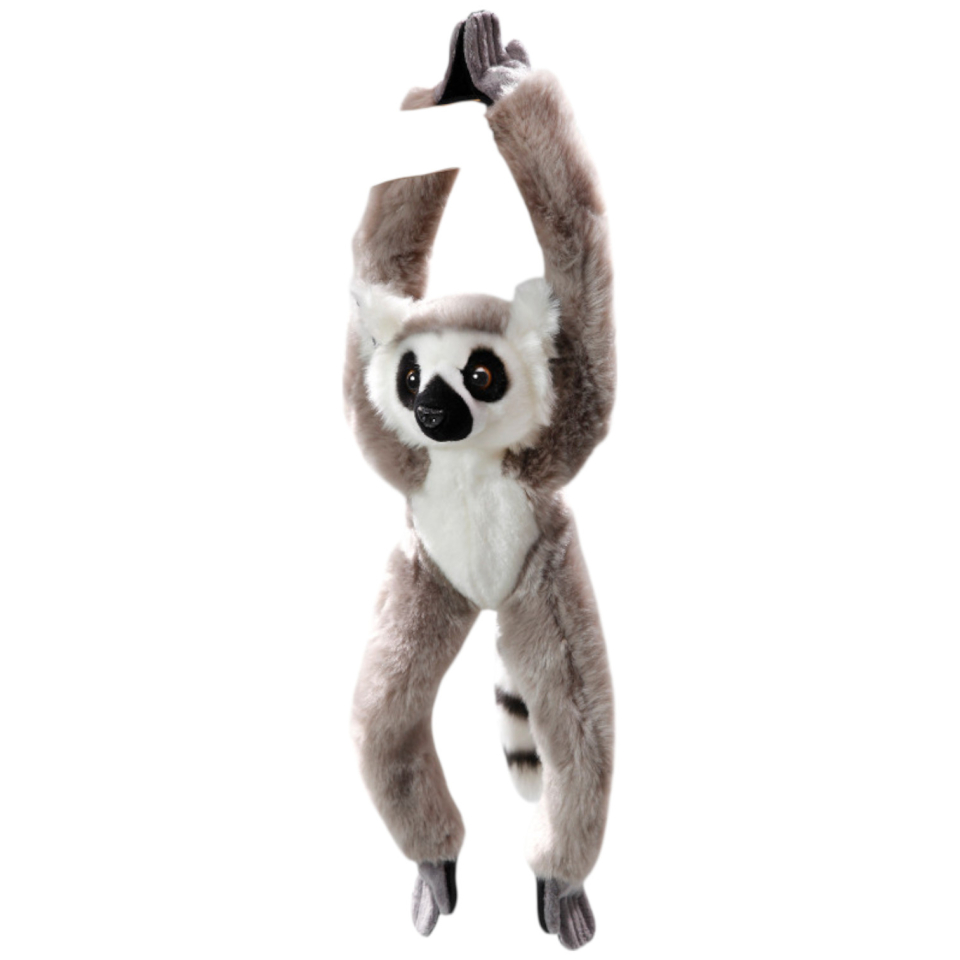 Katta, Lemur mit Klett