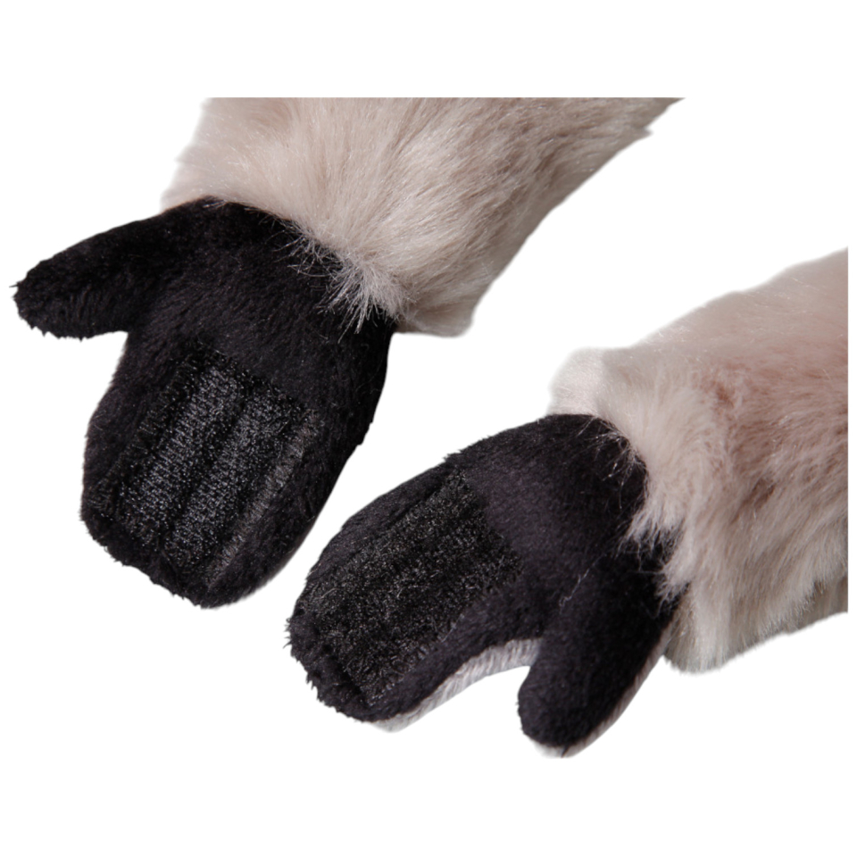Katta, Lemur mit Klett