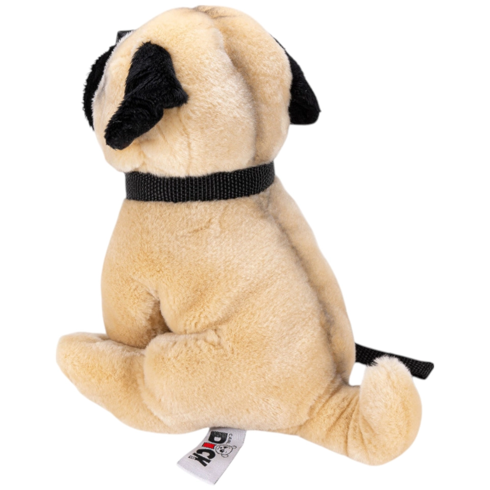 Pug with lead standing Pug with lead standing