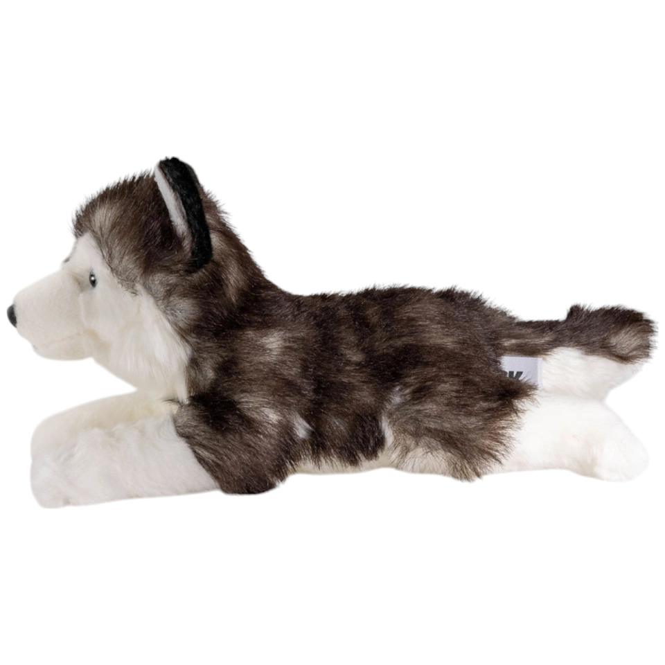 Husky schwarz-weiß liegend