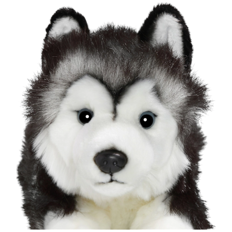 Husky schwarz-weiß liegend