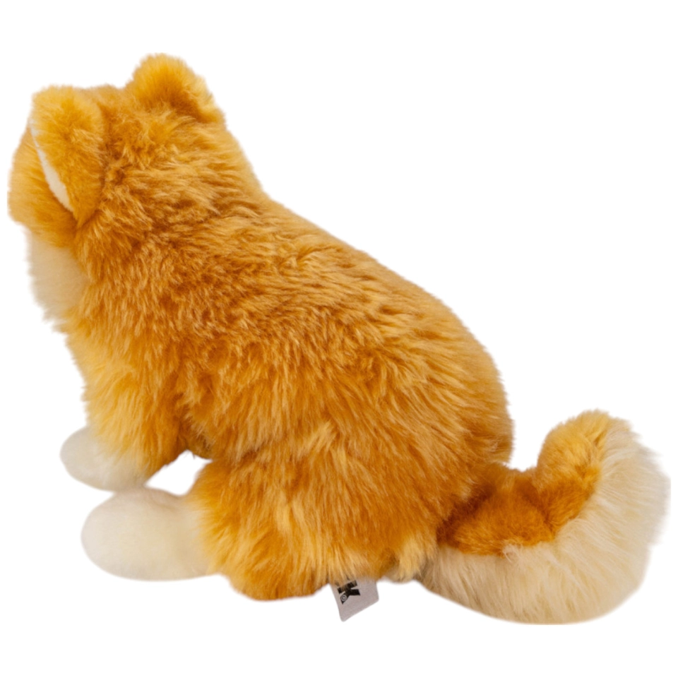 Zwergspitz sitzend, Pomeranian Hund