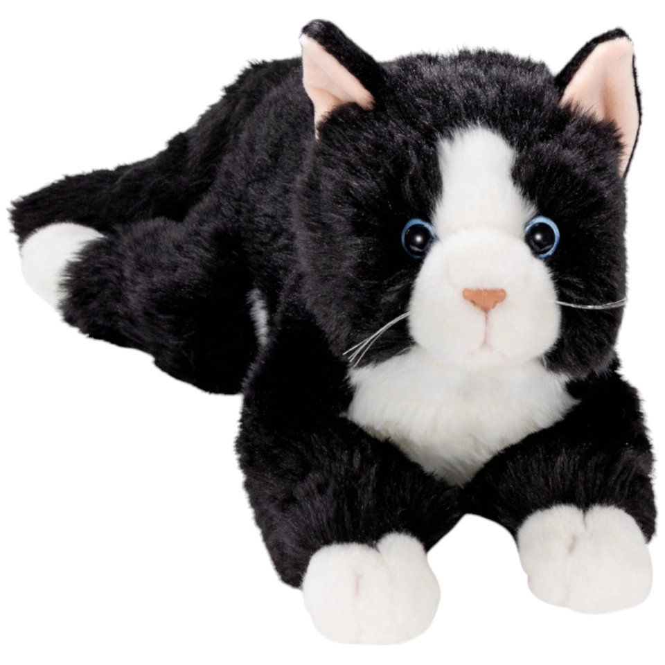 Katze schwarz-weiss liegend