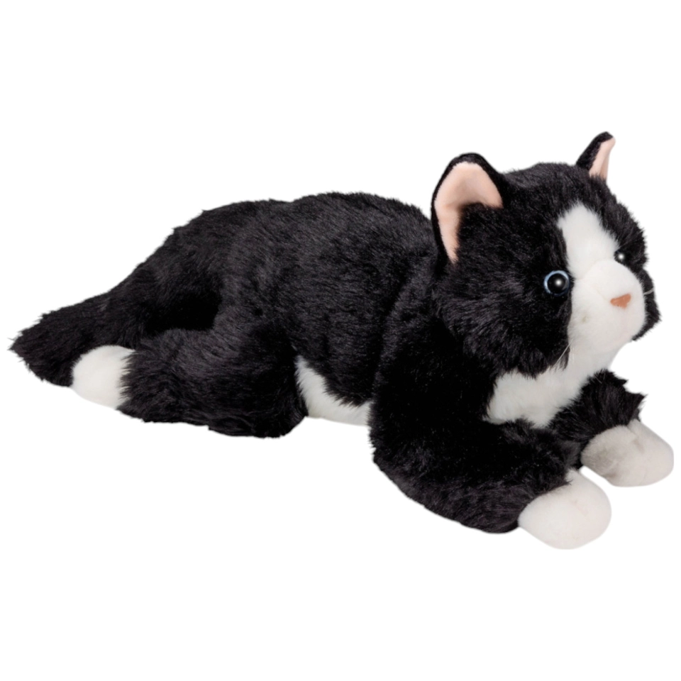 Katze schwarz-weiss liegend