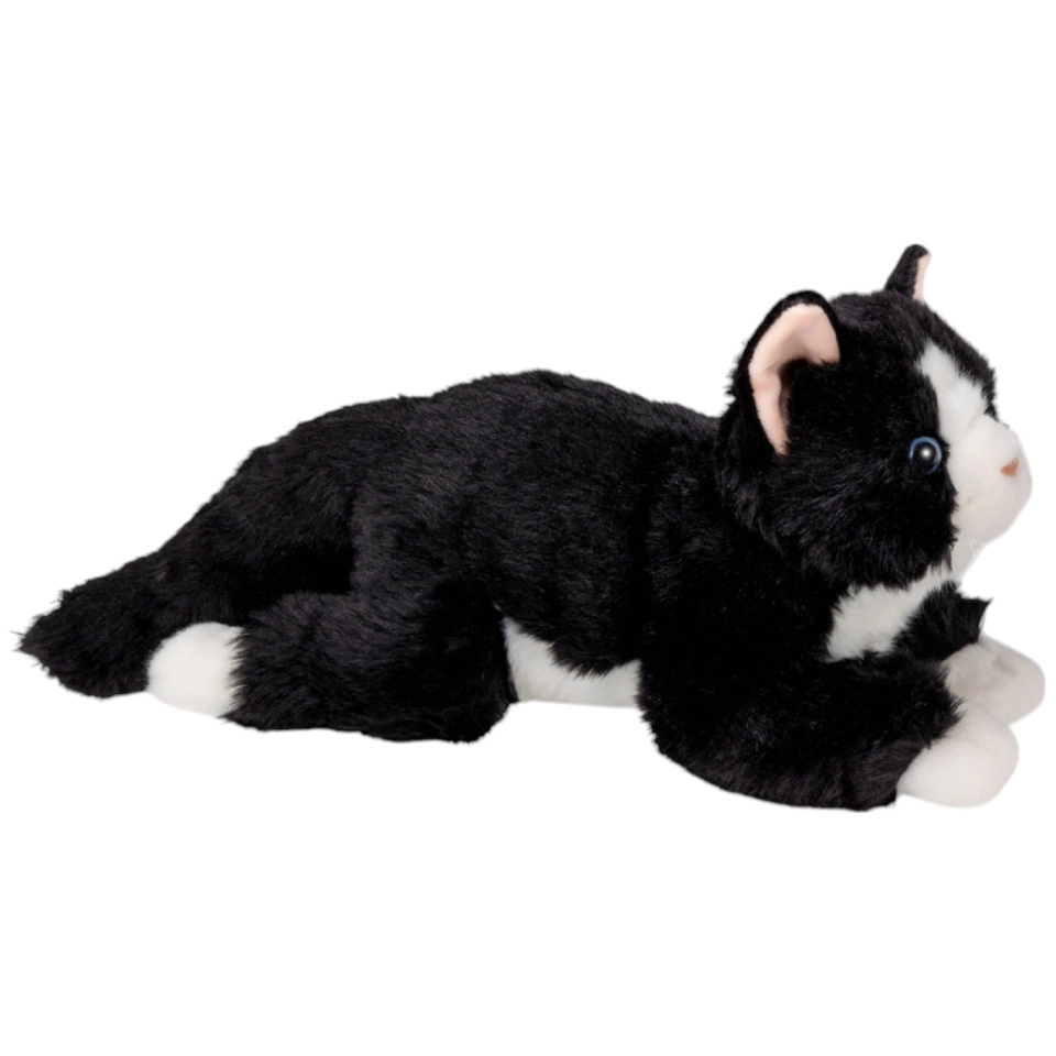Katze schwarz-weiss liegend