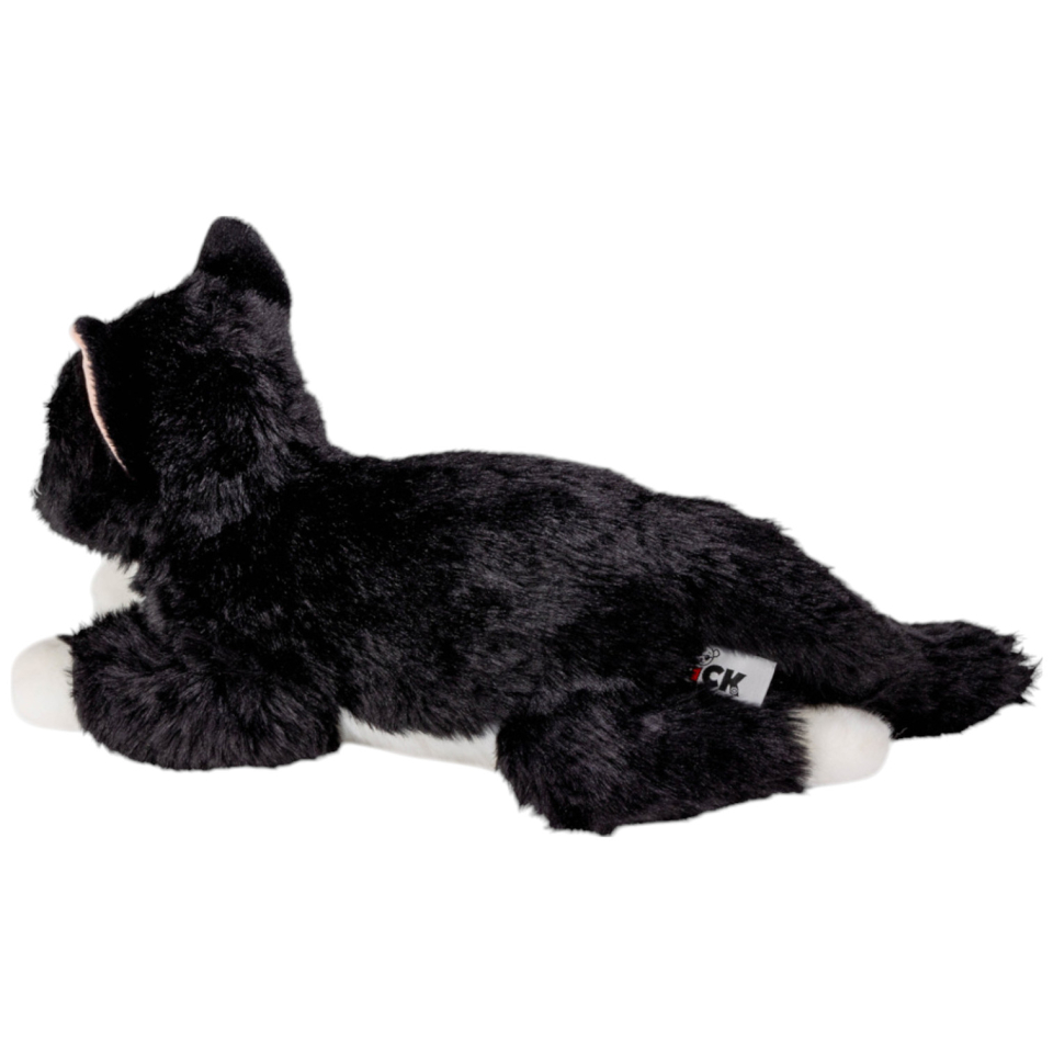 Katze schwarz-weiss liegend