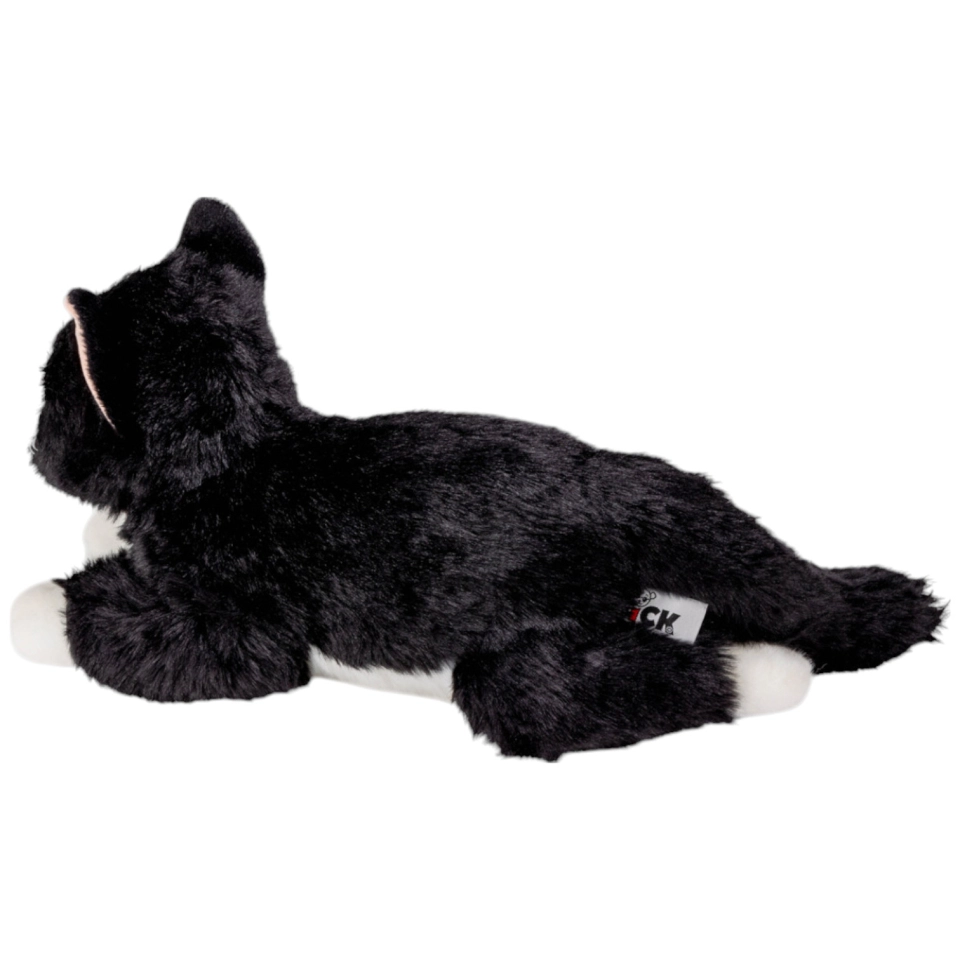 Katze schwarz-weiss liegend