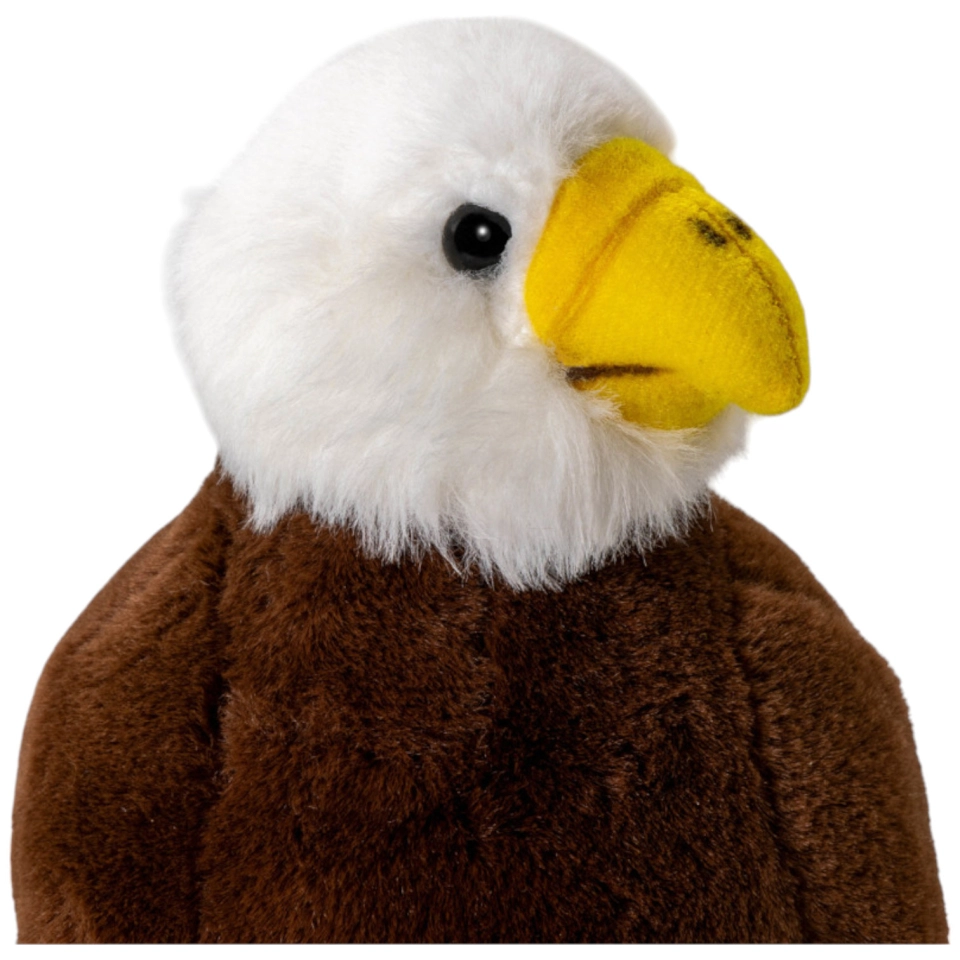 Adler Nestling