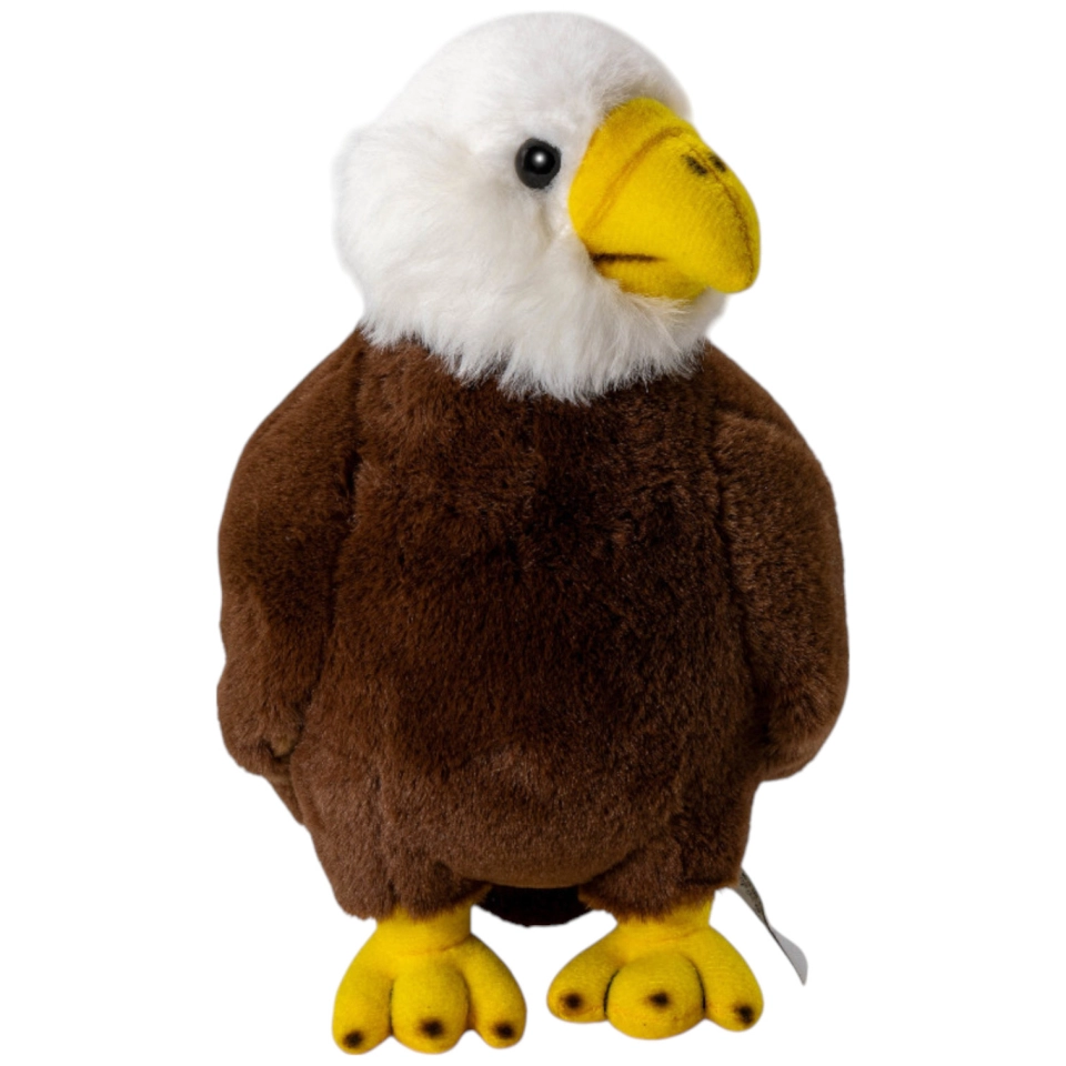 Adler Nestling