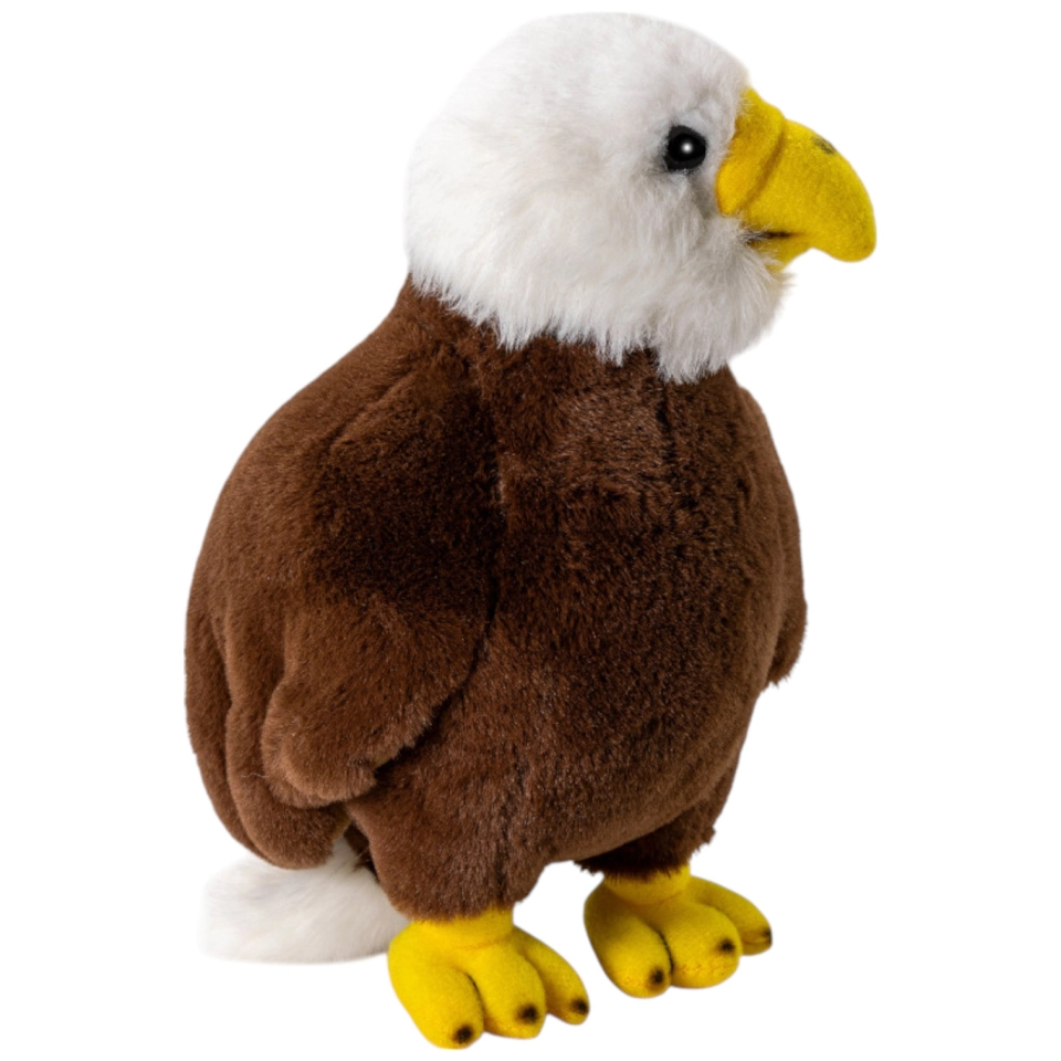 Adler Nestling